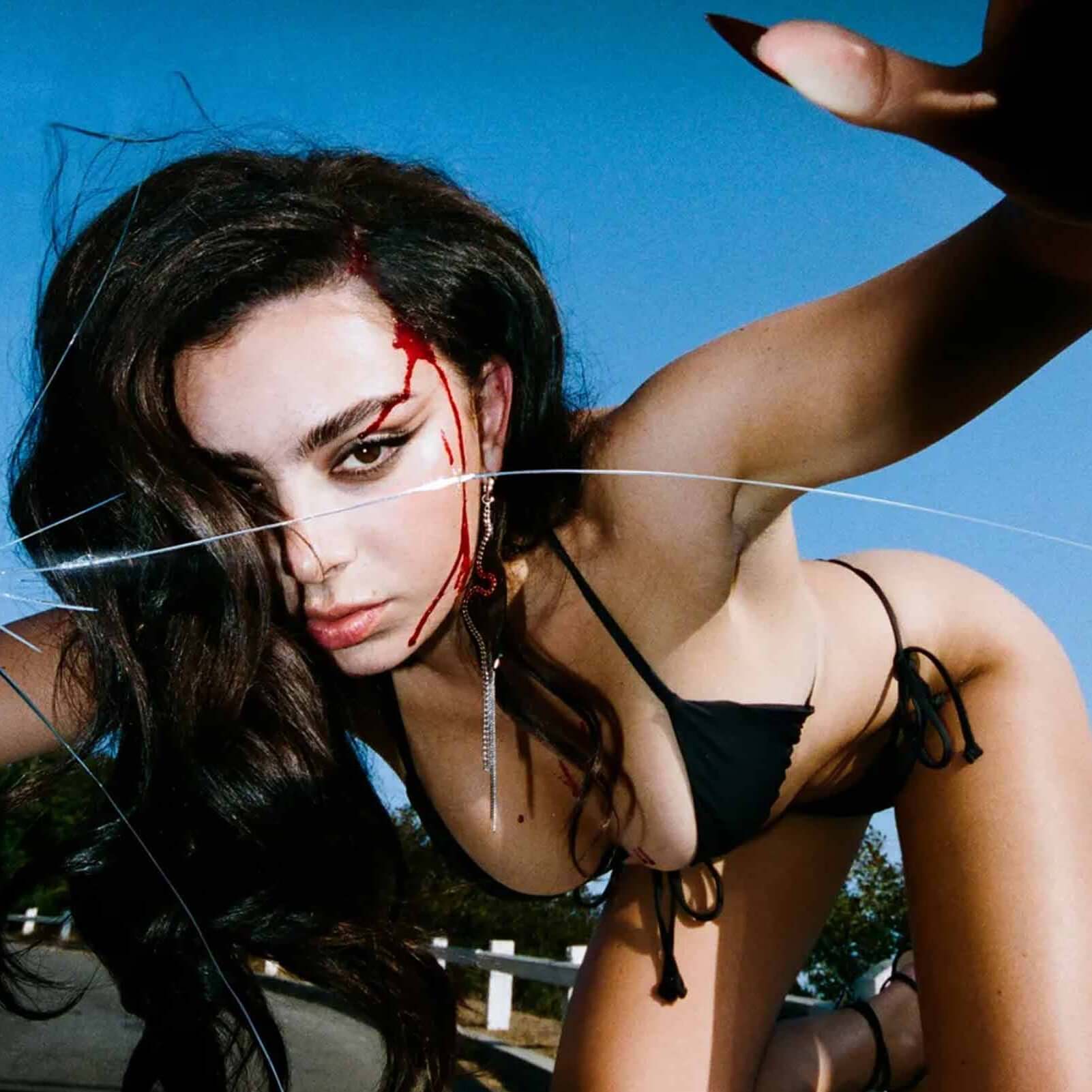 Translation missing: es.Charli XCX - Plastic Books: Charli XCX