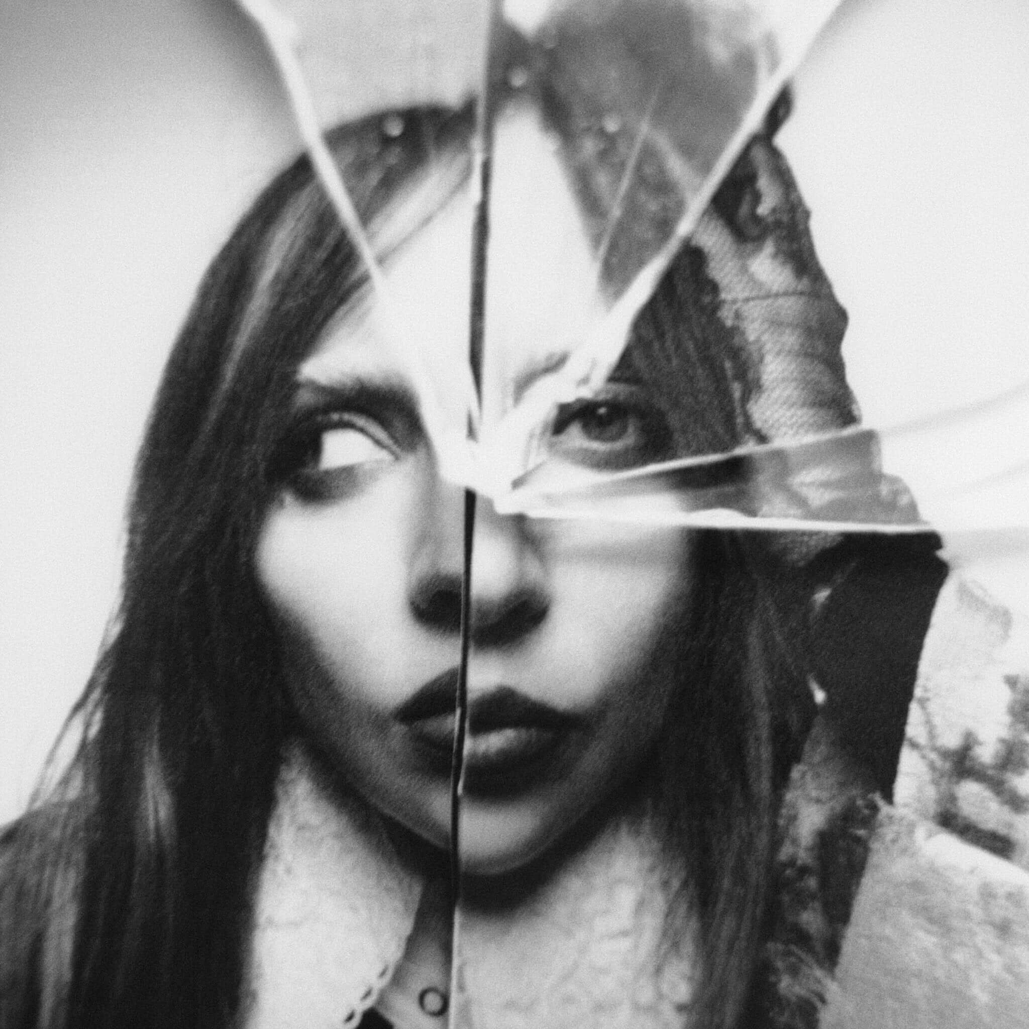 Translation missing: es.Lady Gaga - Plastic Books: Lady Gaga