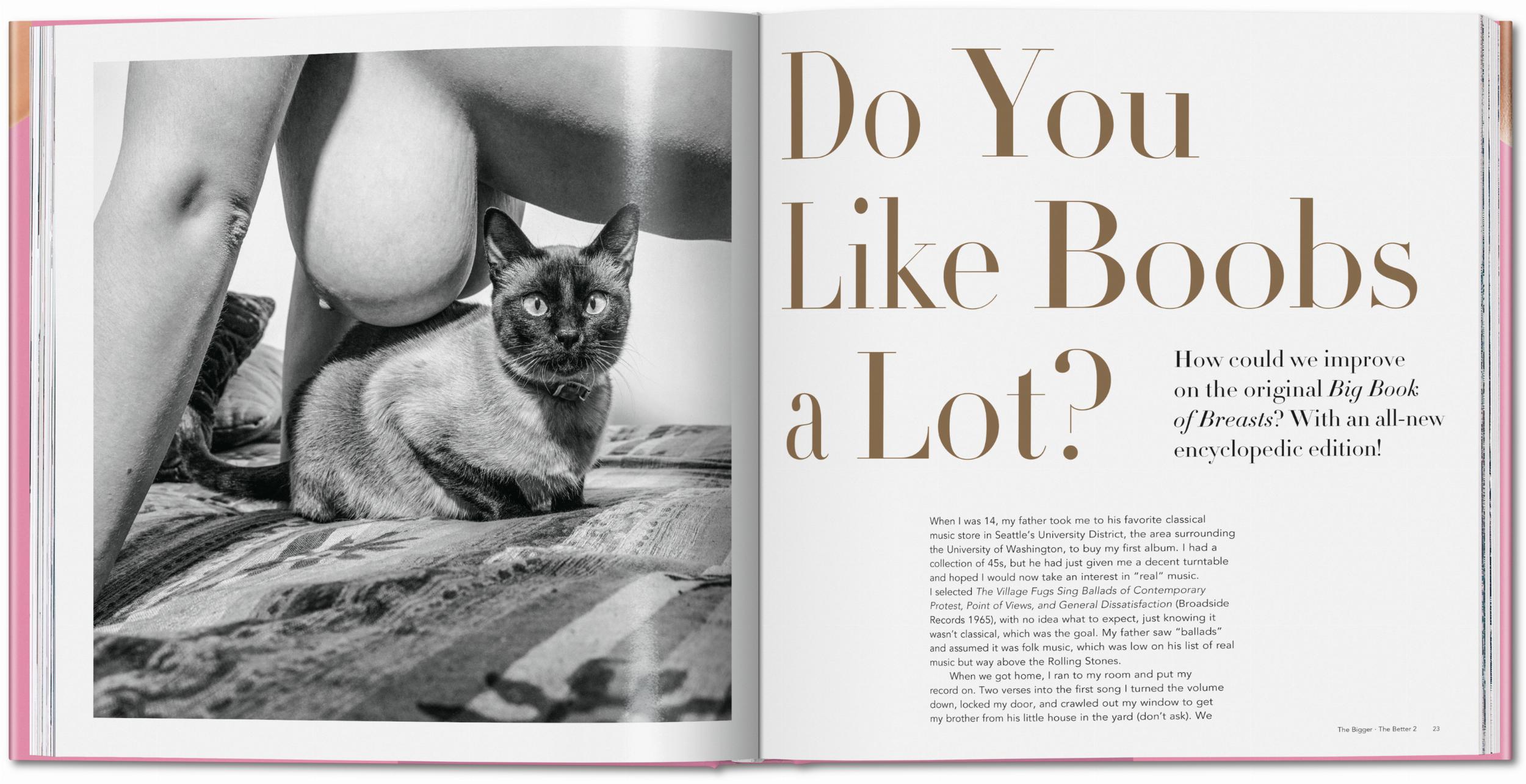 The Bigger Book of Breasts: Volume 2 – Plastic Books