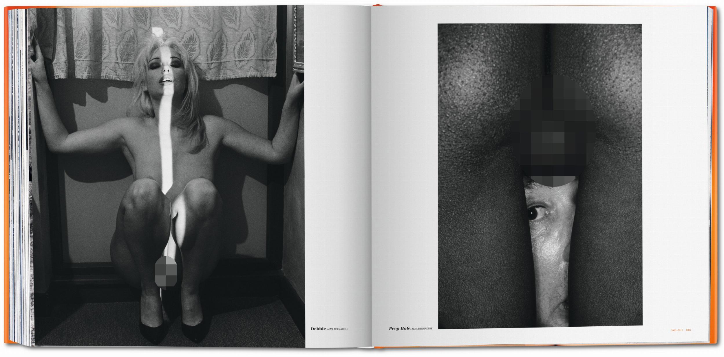 The Big Book of Pussy – Plastic Books