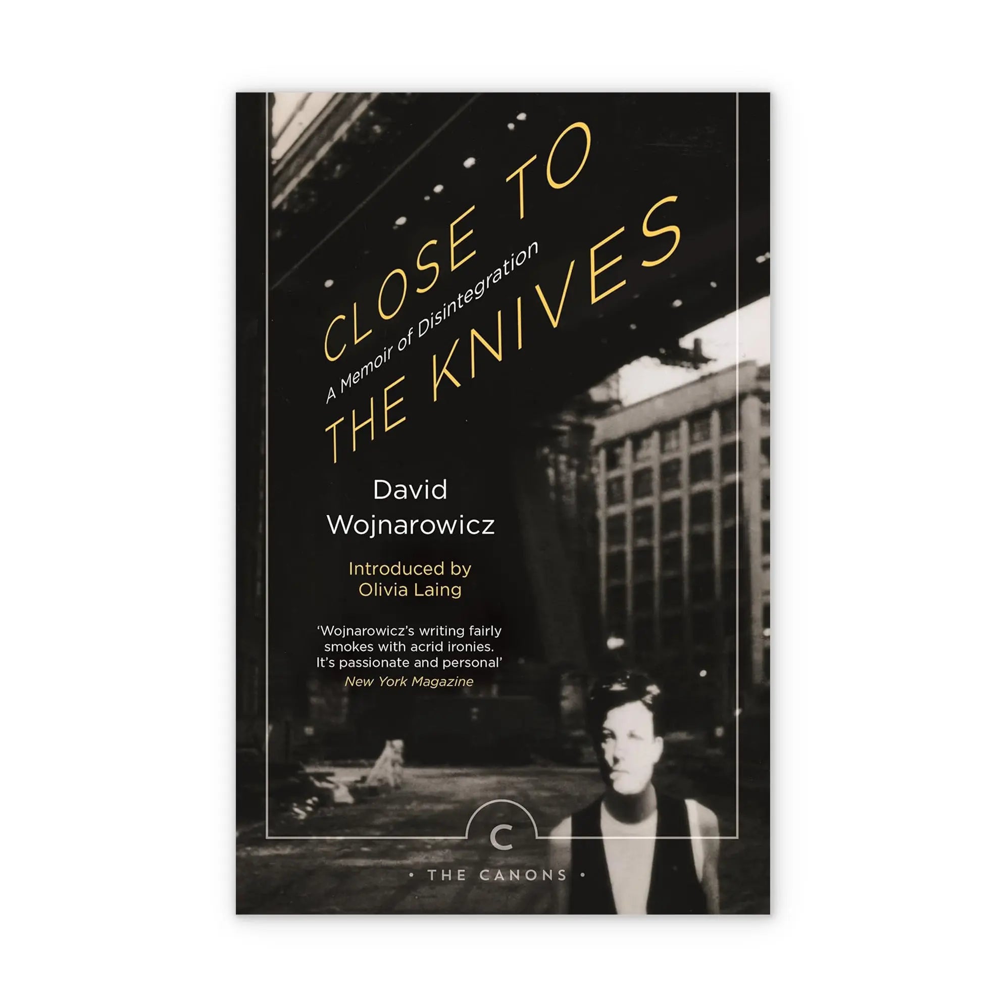 Close to the Knives: A Memoir of Disintegration (English Edition) – Plastic Books