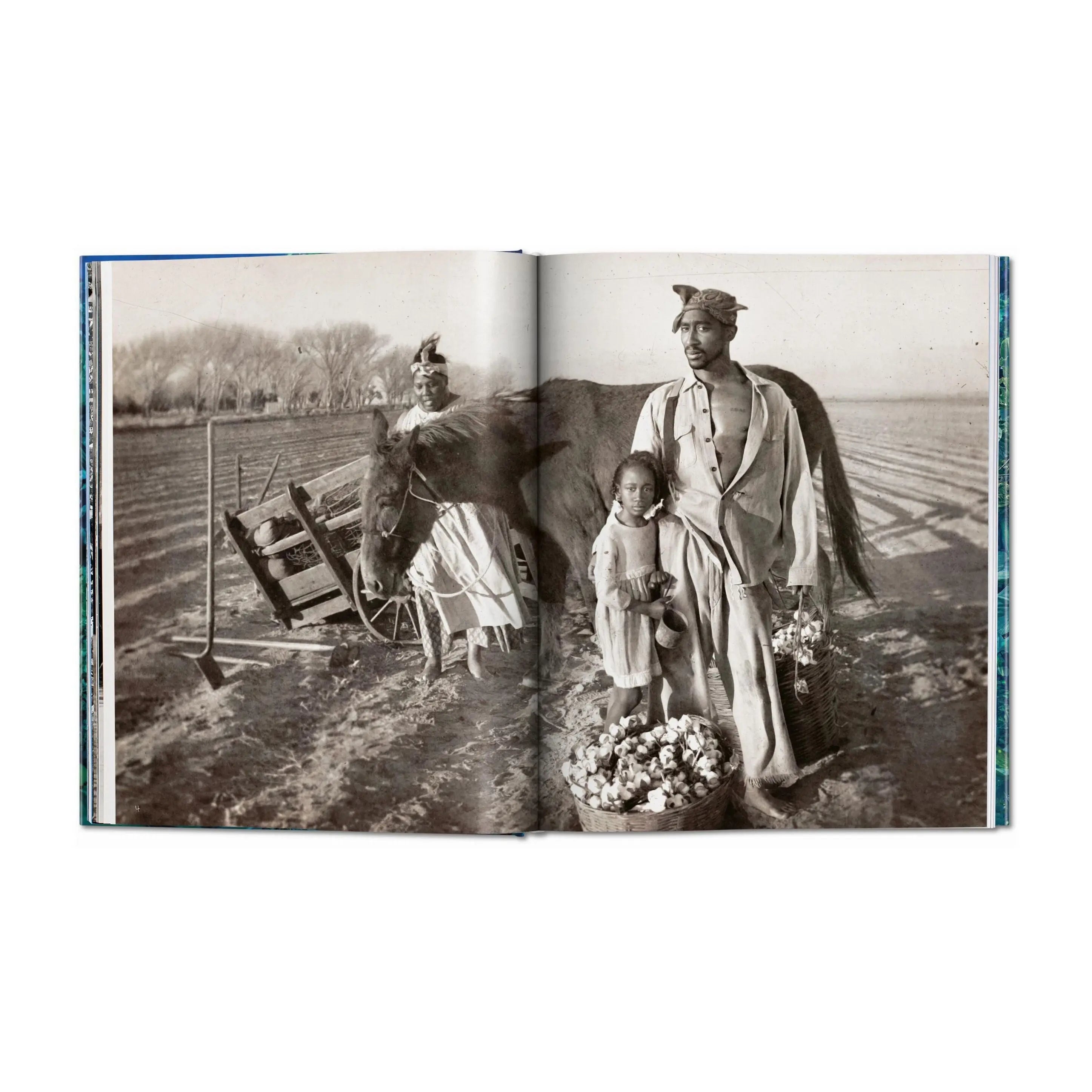 David LaChapelle – Good News – Plastic Books