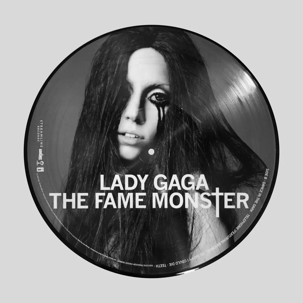The Fame Monster ( Picture Disc) – Plastic Books