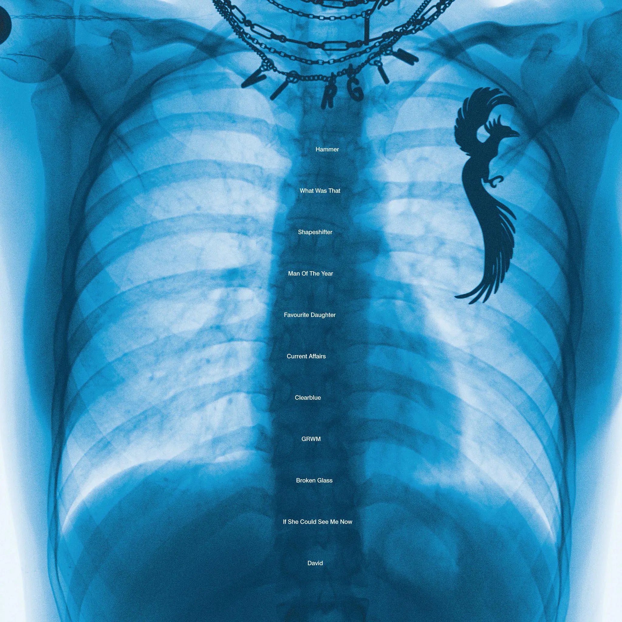 Virgin (Bathwater Color Verde Traslucido) – Plastic Books