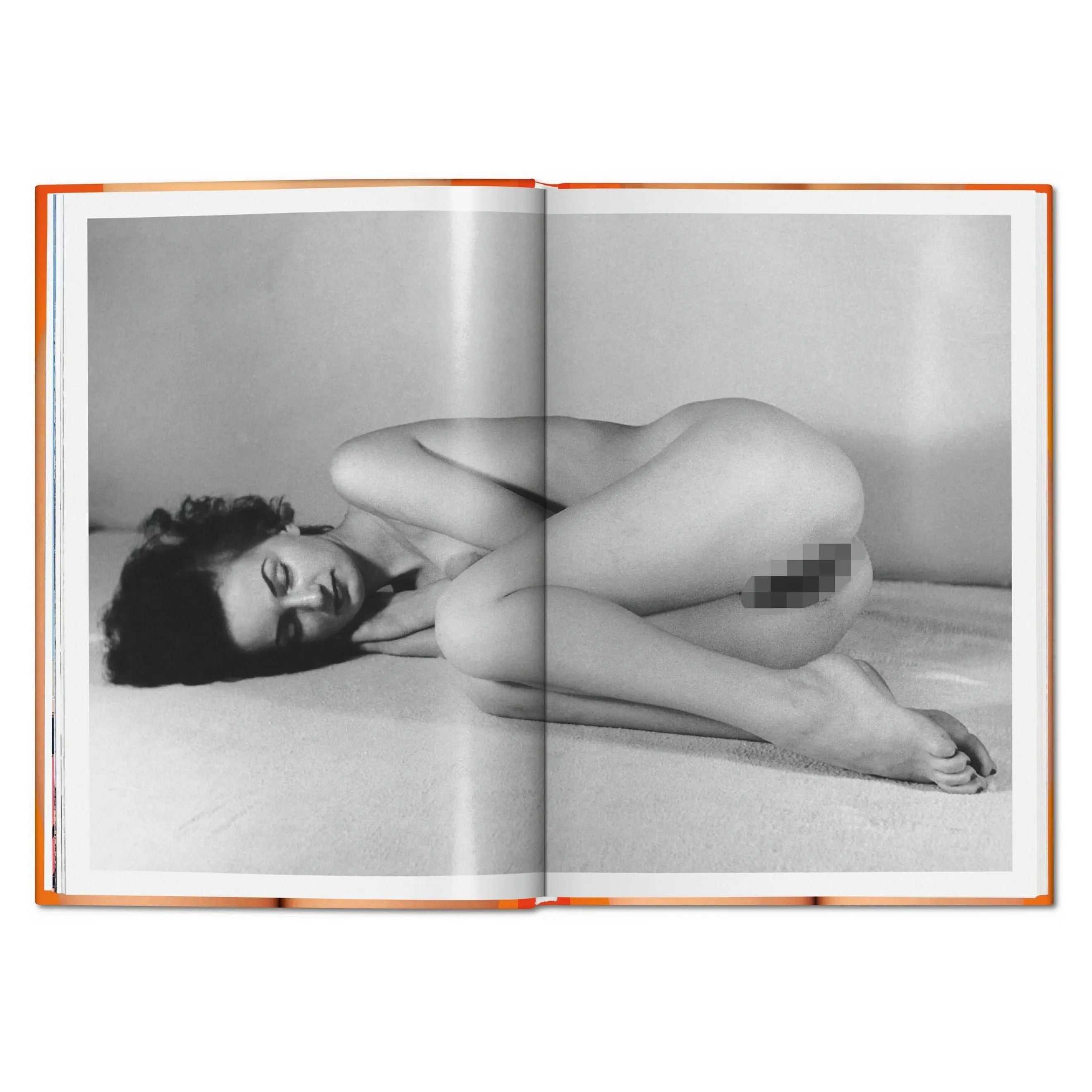 The Little Big Book of Pussy – Plastic Books