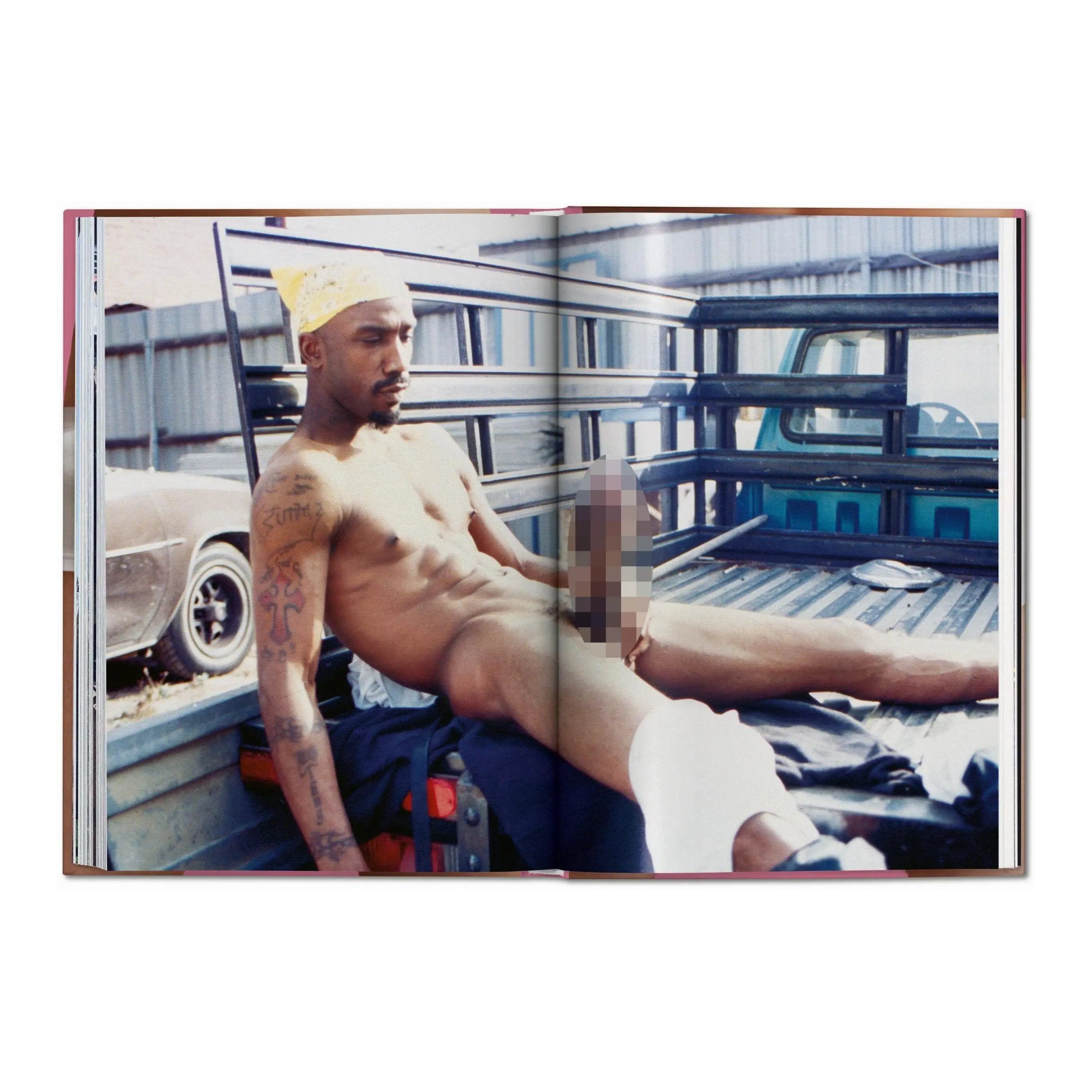 The Little Big Penis Book – Plastic Books