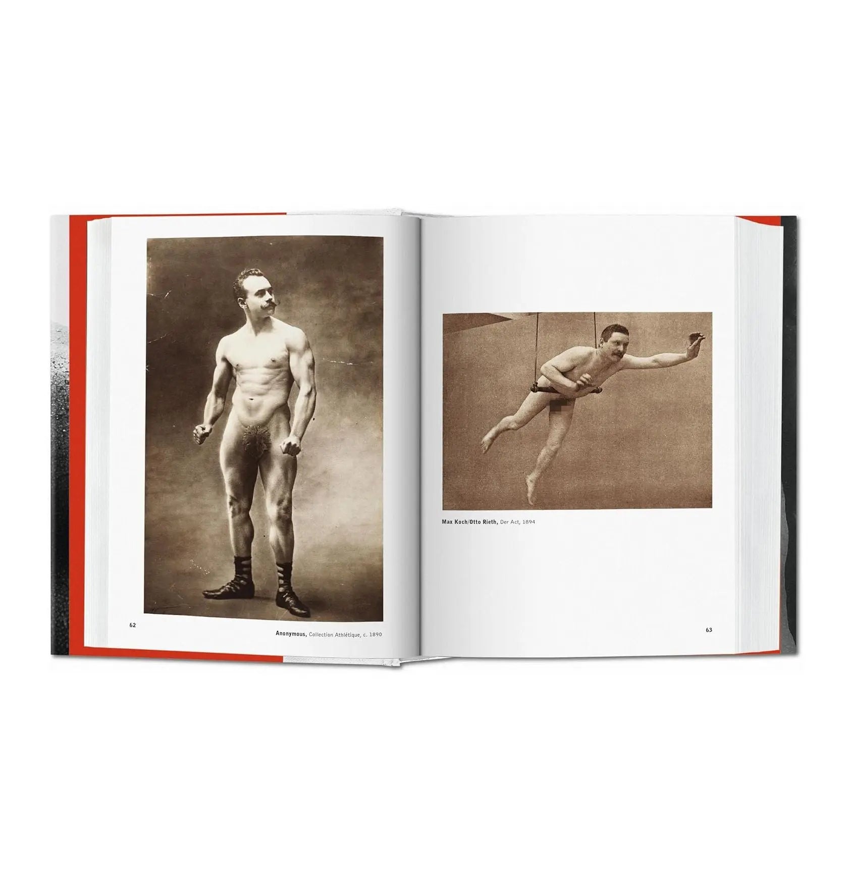 The Male Nude – Plastic Books