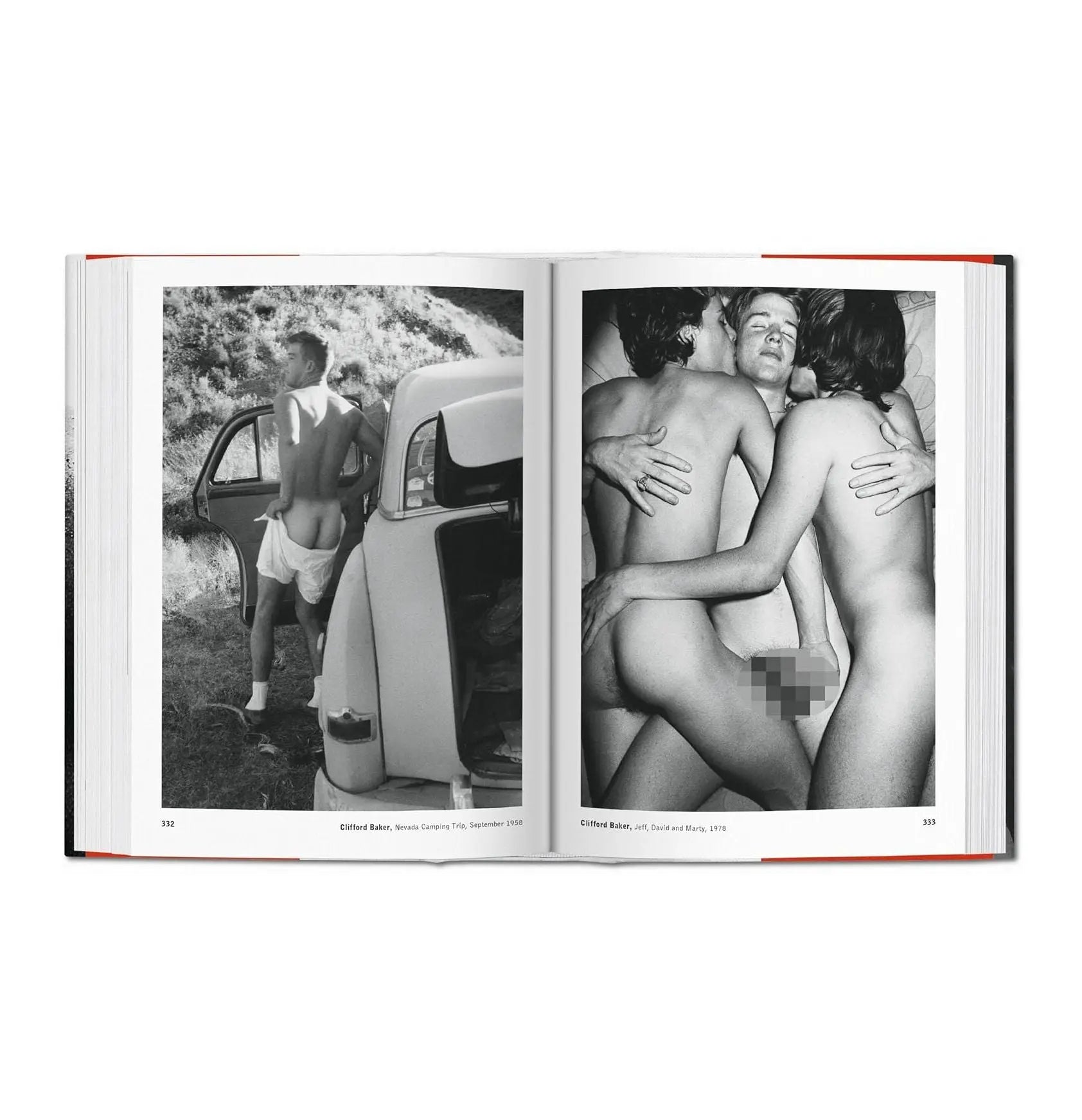 The Male Nude – Plastic Books