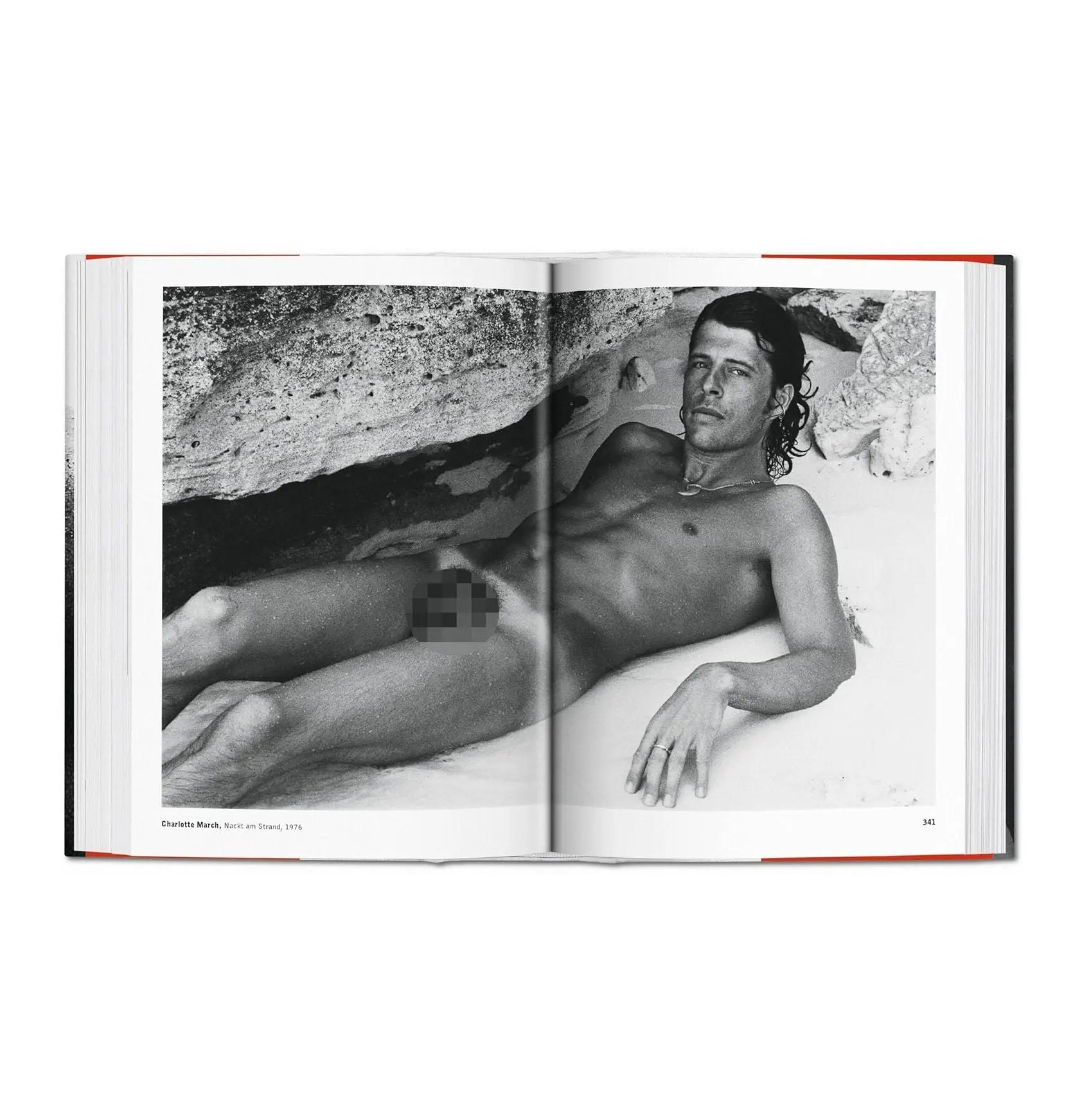 The Male Nude – Plastic Books