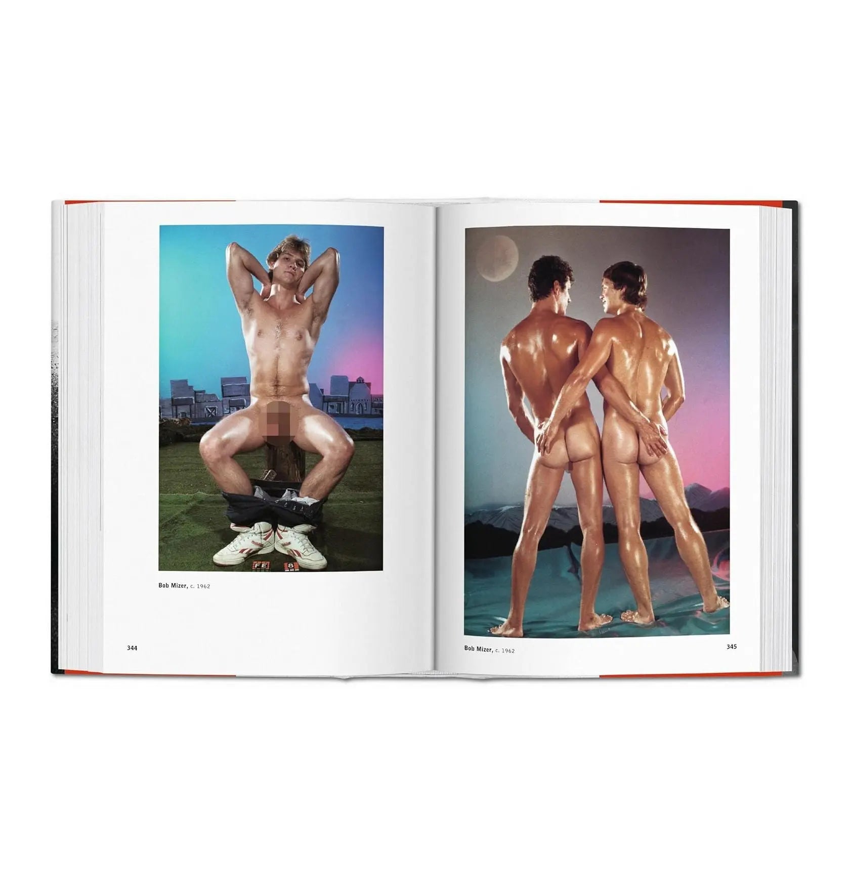 The Male Nude – Plastic Books